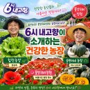 소정농장 | 6시 내고향 힘찬농장 꽃양귀비정원 승현이네 농장
