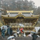 ㈜범우교통(마을버스) | 일본 겨울여행 도쿄 근교 기차여행 와그 JR 동일본 패스 5일권 교통패스