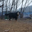 지훈농장 이미지