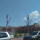 성남금융고.중탑초교 이미지