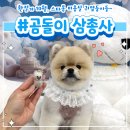 (주)스타몽 이미지