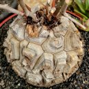 창전농장 이미지