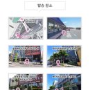 JEJU] 겨울 동백꽃과 협재바다, 미디어아트까지 즐긴 당일치기 버스투어 (제주 1번가 서쪽 여행&#39; 후기)