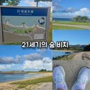 21세기 | [북부/나고시] 21세기의 숲 비치 러닝 후기