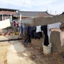 금빛세탁 이미지