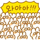 개인화물566