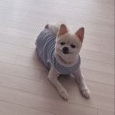 도기봉봉 | 11월 1주차