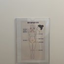 포항시북구83 | [셀포랩 원티어] 누워서하는 다이어트 포항 초곡 다이어트 후기