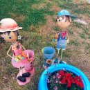 안나모자원 이미지