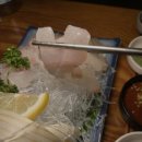 오징어 세상 이미지