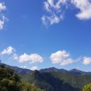 쓰담쓰담 스포츠테이핑 이미지