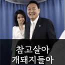 윤석열과 김건희가 또 해냈다 &#34;개 사육농가 1년에 1500억원 지원&#34; 이미지