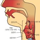 에이레네음악학원