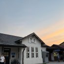 곡성세계장미축제 후기 - 주말 방문 솔직 리뷰와 관람 꿀팁