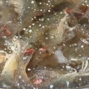 그린수산 이미지