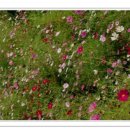 한사랑세탁 이미지