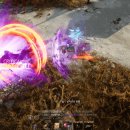 전설펫 액티브 스킬 개선 문의 (1일차) 이미지