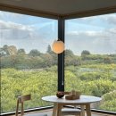 스테이하례 이미지