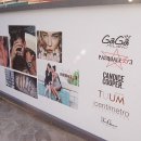 럭스베네에디션 이미지