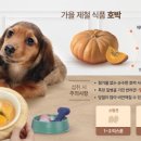 멍멍냥냥 네이버블로그