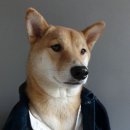 개간지