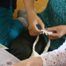 남산럭키아파트 경로당 이미지