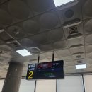 영서상회 | 얼탱밤탱 혼란했던 제주도 여행 썰푼다