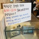 데일리밥스 | 강릉 카페, 초당옥수수커피가 유명한 강릉 필수 코스 갤러리밥스, 평일 후기