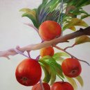 자연愛가 이미지