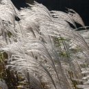 은혜중학교 이미지