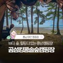 바다노을 | 서해 노을 감성 힐링! 바다 보이는 태안 곰섬킹콩솔숲캠핑장 후기