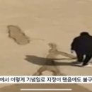 수원칠보고등학교 이미지