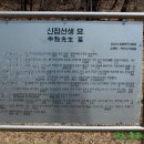신점선생묘 티스토리