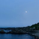 머쉬룸 펜션 이미지