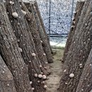 산에들에농장 이미지