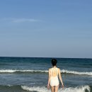 대형크리닝마트 | 베트남 나트랑 5성급 하바나호텔 오션뷰 커넥팅룸 조식 수영장 클럽 솔직후기