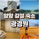 광경원 | 양양 남애항 숙소 광경원 가성비 및 감성 숙소 솔직후기