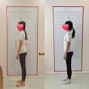 다옴메디월필라테스 - 정선군 사북3길 32 | 진주체형교정 잘하는곳 찾는다면? 🙋‍♀️ 이소미 다옴메디월 필라테스 리얼 후기✨