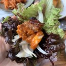 한희농장 | 주말 나들이에 제격인 돼지갈비 맛집 원주 산들내음 feat. 벅스팜