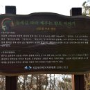정개산원적산 둘레길 네이버블로그