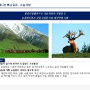 사슴약국 이미지