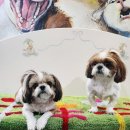 파주힐링몽 이미지