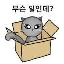 SM대주 네이버블로그