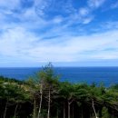 비 개인 후 이미지