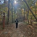 은지초등학교 | 가을 산책/은지초 뒷산