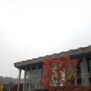 남산 산책로 이미지