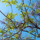 행정사법인 청효 | 쌍무계약의 이해: 대가적 의미를 가진 계약의 세계