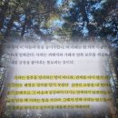 마음을 읽는 감각 책 | 구범준 책 후기 | 사과는 잘못을 닫는 마침표가 아닙니다 추천 리뷰 핵심 요약