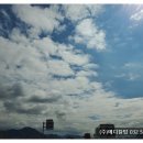 주식회사 메디칼탑 이미지