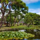 읍내리할머니경로당 이미지